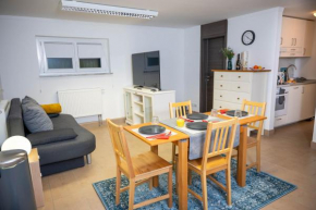 Wohnung in Loschwitz
